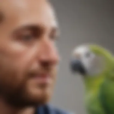 A close-up of a parakeet interacting with its owner, highlighting their social nature.