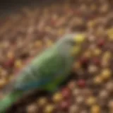 A variety of colorful pelleted food for budgies arranged in a bowl.