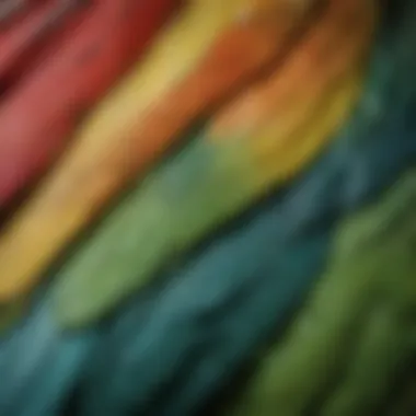 A close-up of a parakeet showcasing its intricate feather patterns.