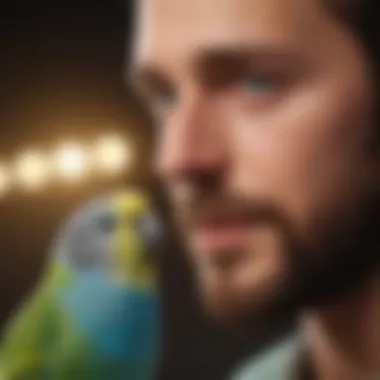 Playful Budgerigar Interaction A colorful budgerigar interacting playfully with its owner.