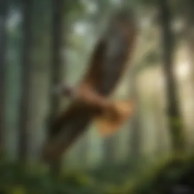 A majestic hawk soaring over a lush green forest