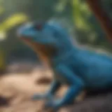 Stunning blue iguana basking in sunlight