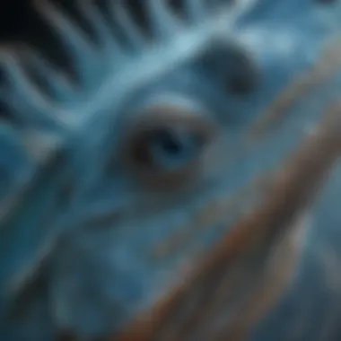 Detailed view of blue iguana's unique scales