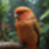 Diverse bird species in a vibrant aviary