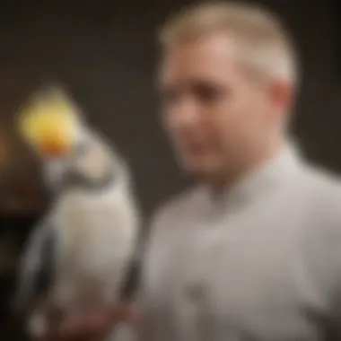 An inquisitive cockatiel interacting with its owner, exemplifying its friendly nature