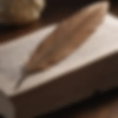 A close-up of a bird's feather resting on an open book