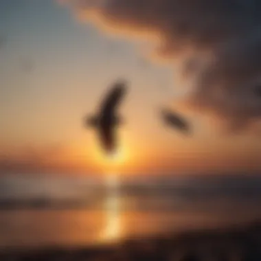 The Eternal Flight of Love A peaceful sunset with silhouettes of birds in flight