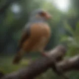 A serene environment featuring a calm pet bird perched on a branch.