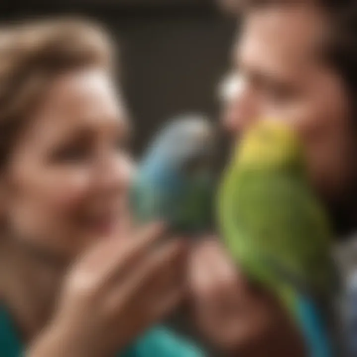 A bird owner engaging playfully with a budgie on their finger, showcasing bonding.