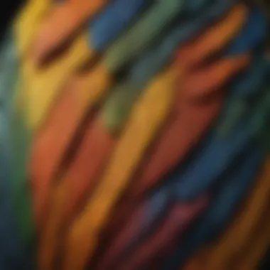 A close-up of a macaw's intricate feather patterns