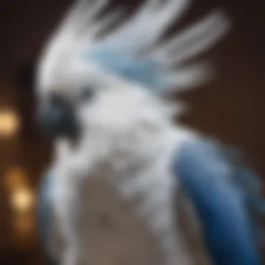 A serene blue and white cockatoo displaying its stunning plumage