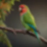 A vibrant parakeet perched on a branch, showcasing its colorful feathers