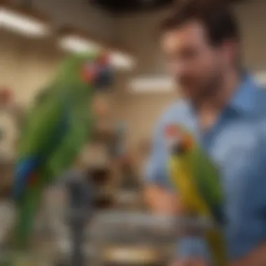 Prioritizing Health: Veterinary Care for Your Feathered Friend A veterinarian examining a parrot, emphasizing the importance of health care.