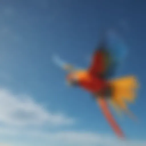 A vibrant parrot in mid-flight showcasing its colorful feathers against a clear blue sky