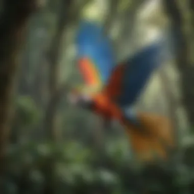 A colorful macaw flying over a lush rainforest