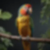 A vibrant parrot perched on a branch, demonstrating avian beauty and longevity.