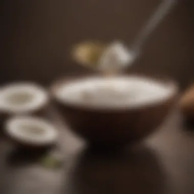 Coconut Oil for Pet Birds Coconut oil in a small bowl with a spoon beside it