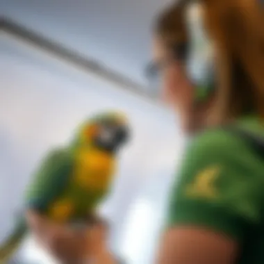 An airline employee assisting with a pet bird's travel