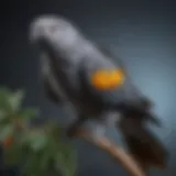 An African Gray parrot perched on a branch, showcasing its vibrant plumage.