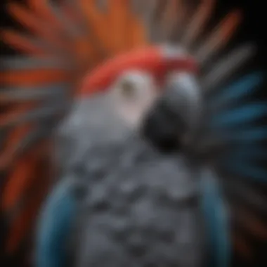 Vibrant close-up of an African Grey Macaw showcasing its distinctive feathers