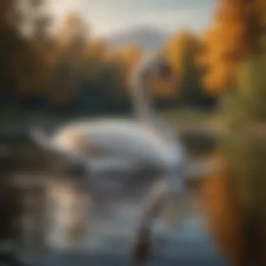 An elegant swan gliding gracefully across a serene lake