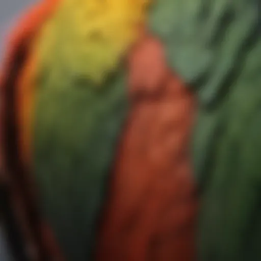 Close-up of a parrot's back showcasing its feather structure