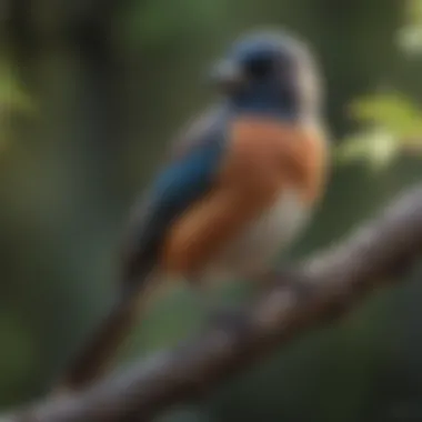 Bird Emitting a Call A close-up of a bird perched on a branch, emitting a call