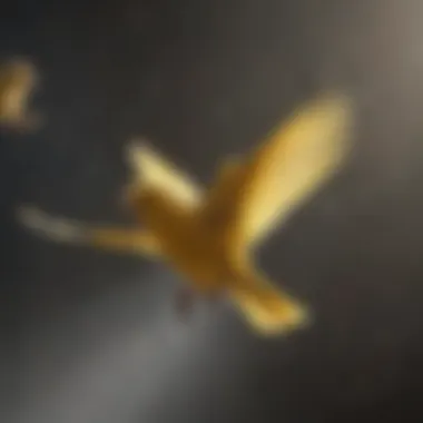 Canary in mid-flight demonstrating flight patterns