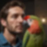 A parrot perched closely on its owner's shoulder, showcasing affectionate behavior.