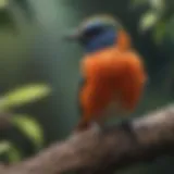 A vibrant conya bird perched on a branch