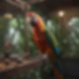 A vibrant parrot perched in a beautifully designed aviary