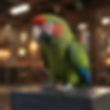 Different parrot species available at PetSmart