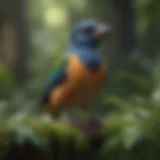 A healthy companion bird perched in a lush environment