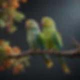 Colorful parakeets perched on a branch