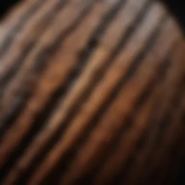 Close-up of Java wood texture and grains