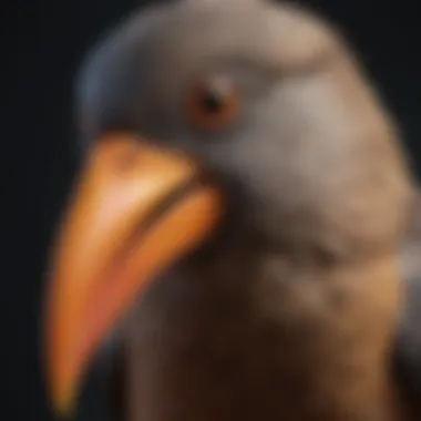 A close-up of a bird's beak, illustrating the anatomy involved in biting