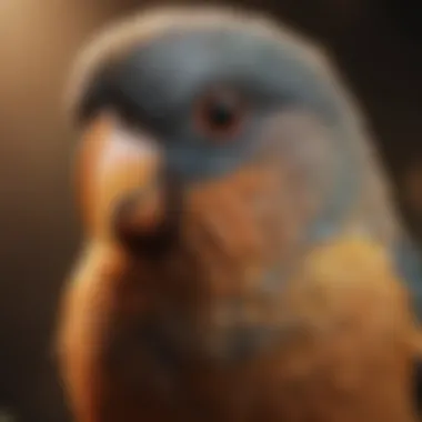 Close-up of a pet bird showing signs of illness