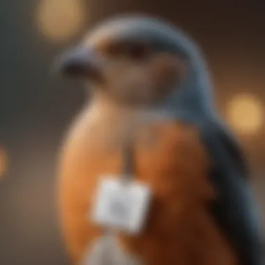 A pet bird comfortably perched while wearing its identification tag