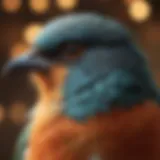 Close-up of a colorful bird tag with alphanumeric code