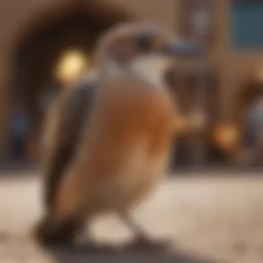 A cultural celebration featuring birds in the Dubai community