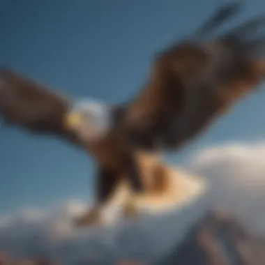 Eagle in Flight A majestic eagle soaring against a clear blue sky