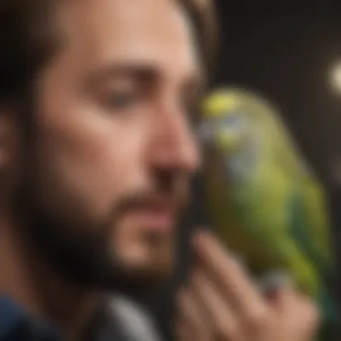 A close-up of a budgie interacting playfully with its owner