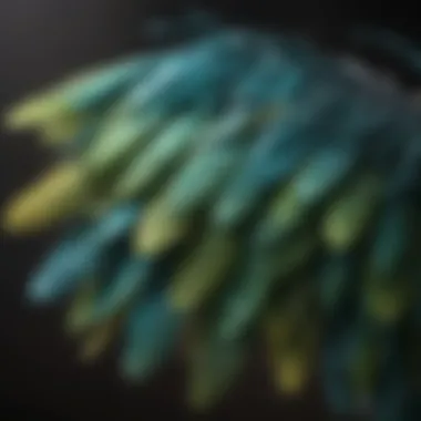 Close-up of a budgie's vibrant feathers