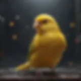 Colorful pet canary perched in a cage