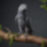 A vibrant African Grey Parrot perched on a branch, showcasing its intelligence and beauty.