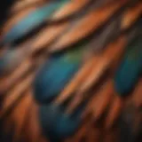 Close-up view of a bird's feathers showing texture and color