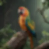 A vibrant parrot perched on a branch in a natural setting