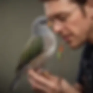 A bird owner gently attaching a tether to their pet bird's harness.