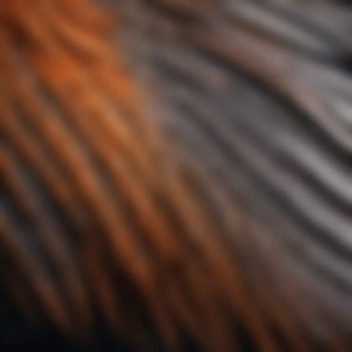 A close-up of a bird's wing feathers illustrating their delicate structure