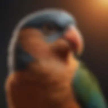 Diverse Pet Bird Species and Their Vocal Characteristics Variety of pet birds showcasing their unique vocalizations